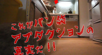 これがパン袋アブダクションの真実だ！