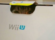 WiiUはうちのマンチカン達にも大好評！ただし空箱が、マンチカン力丸だいすきです。