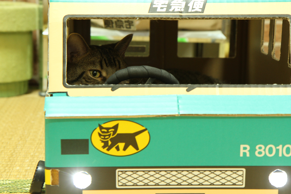 走る、光る、クロネコヤマトのカスタムねこトラックに猫も大満足？