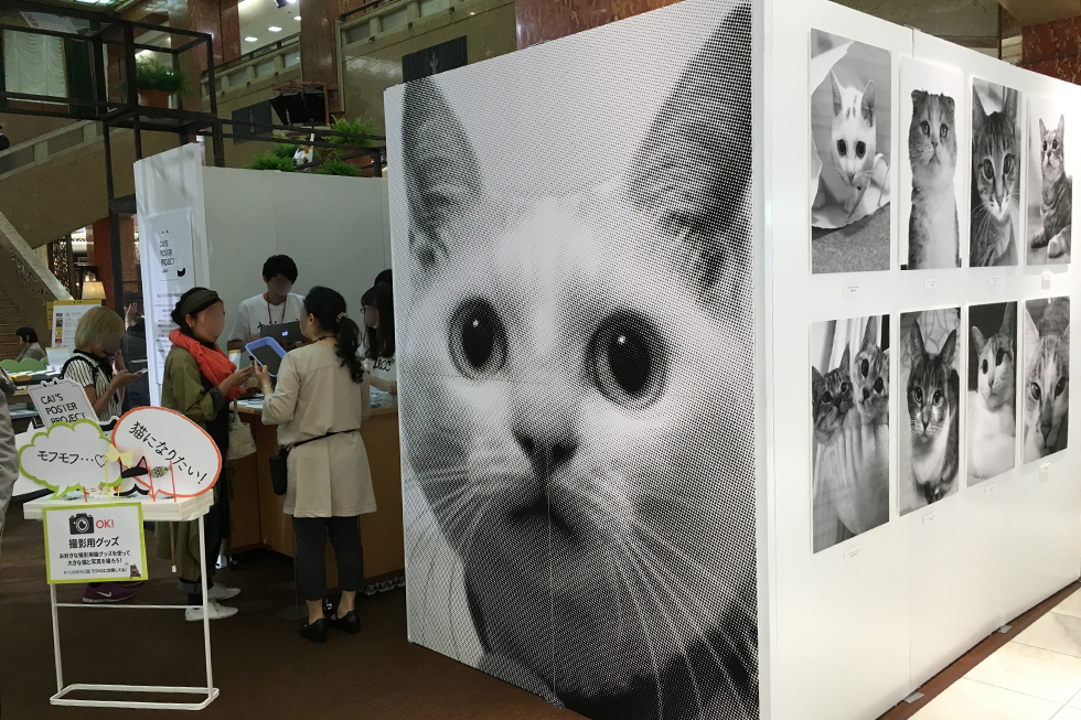 猫の写真を持って行くと1枚1500円でモノトーンのポスターを作ってもらえる巨大プリントサービス