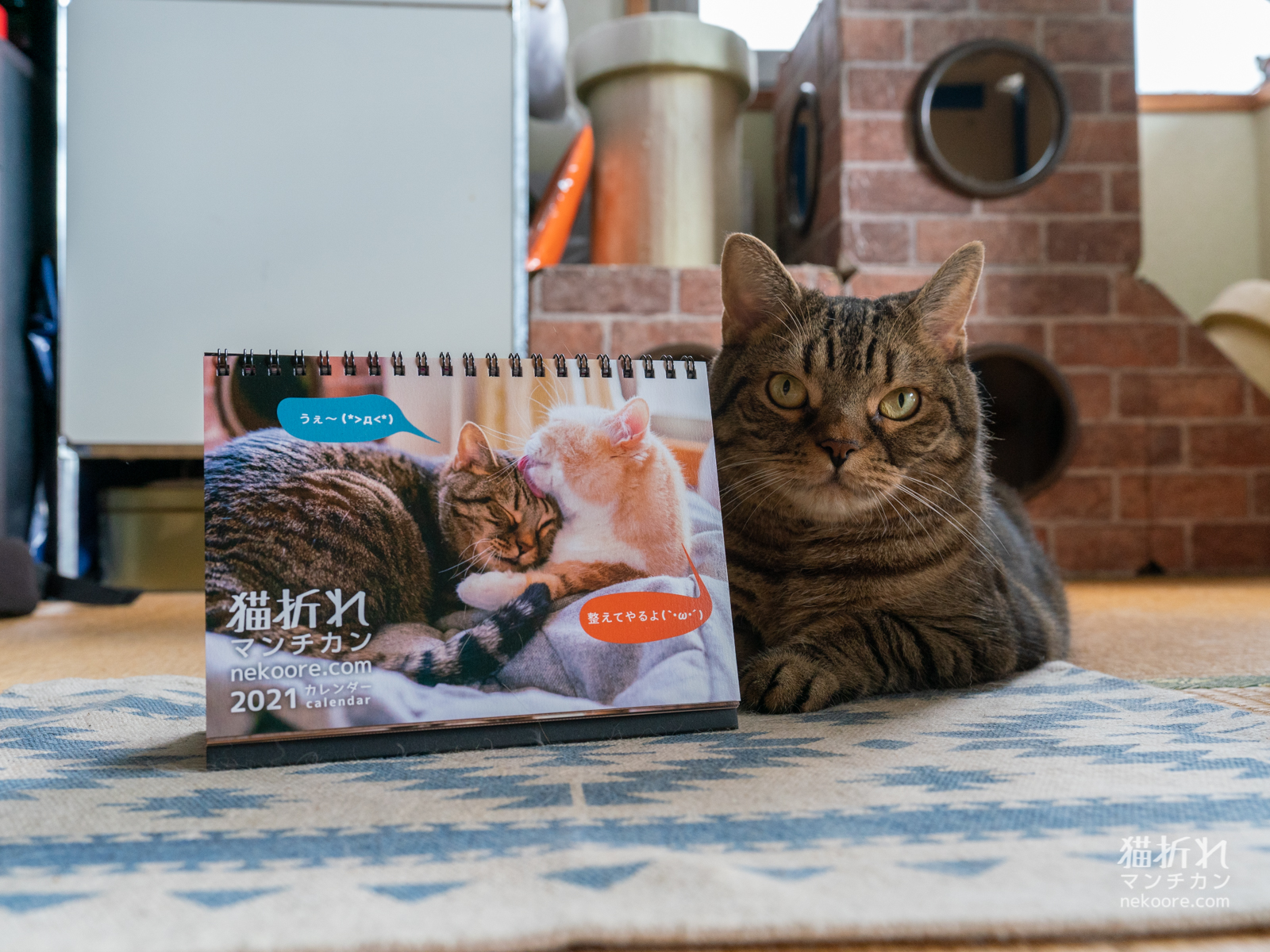 猫折れ21卓上カレンダー 今年もおつくりいたしました