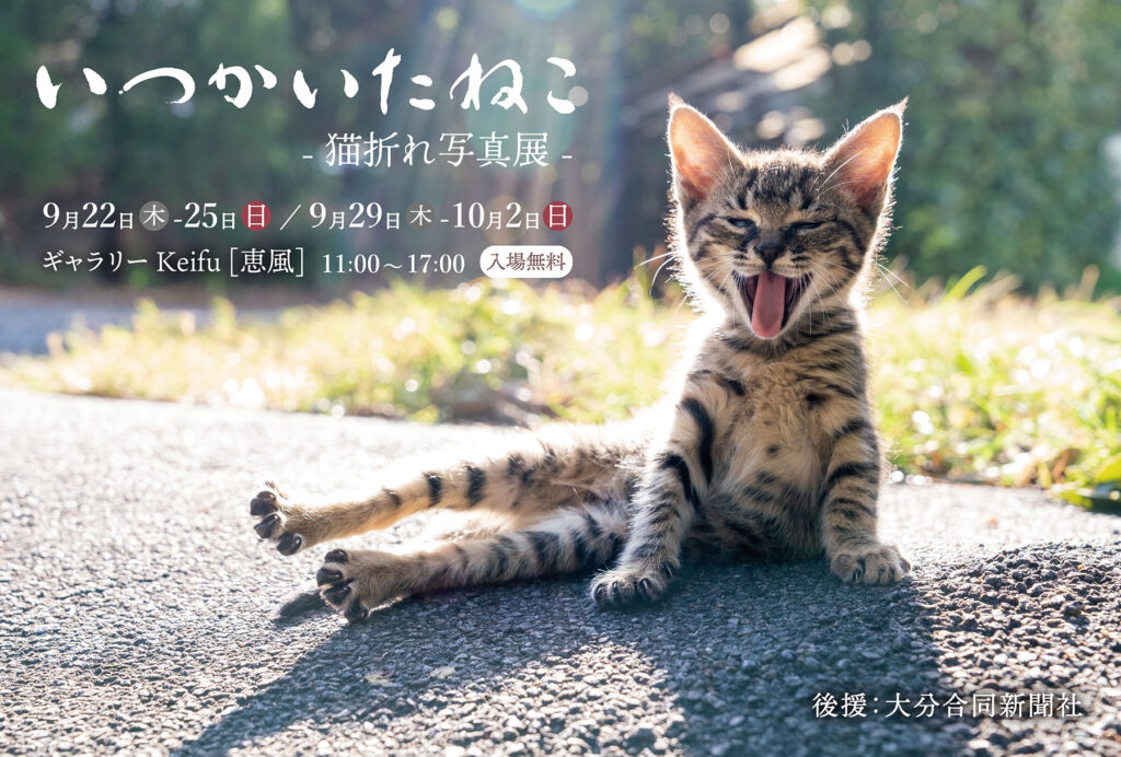 「いつかいたねこ」 -猫折れ写真展-2022/9/22-9/25・9/29-10/2　11:00〜17:00ギャラリー Keifu [恵風]　 （入場無料）