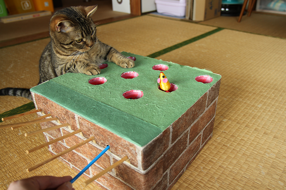 すぐに夢中に、興奮度マックス